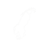 Nordic Lead Team